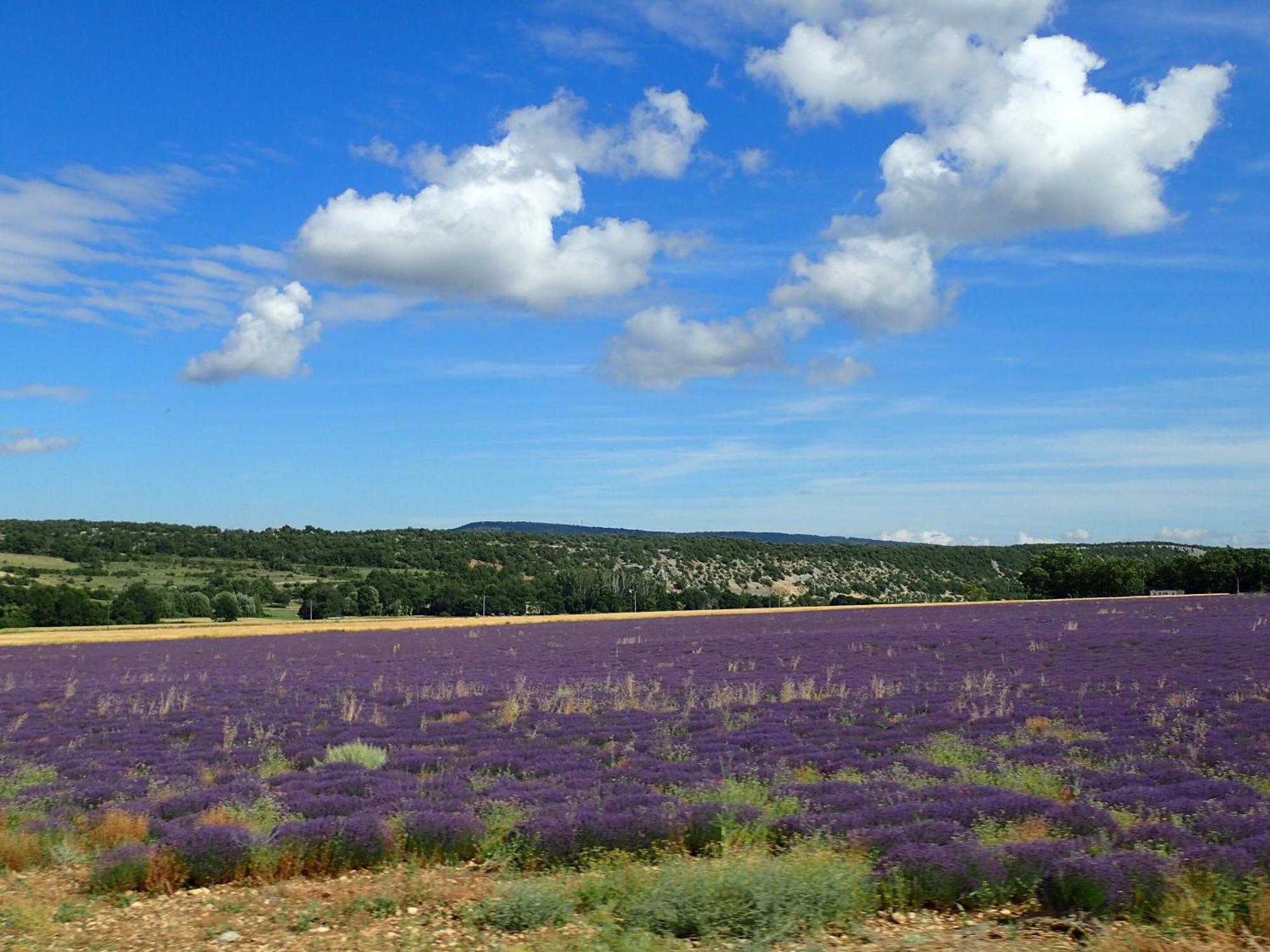 Saint-Christol  Gite De L'Aspa מראה חיצוני תמונה