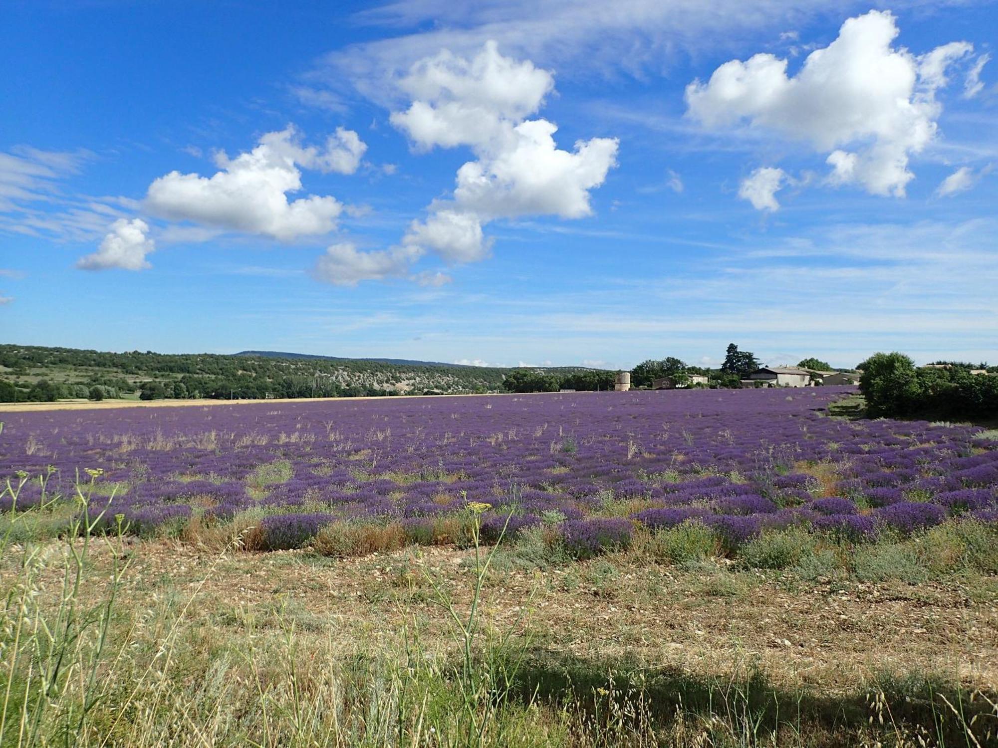 Saint-Christol  Gite De L'Aspa מראה חיצוני תמונה